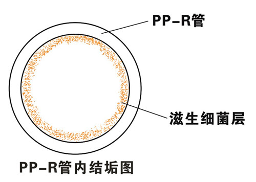 PP-R滲氧，易滋生細菌，有異味；腐蝕金屬連接件，降低使用壽命